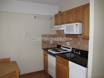 Allston Apartment for rent Studio 1 Bath Boston - $2,100 No Fee
