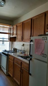 Allston/brighton Border 2 Beds 1 Bath Boston - $2,725 No Fee