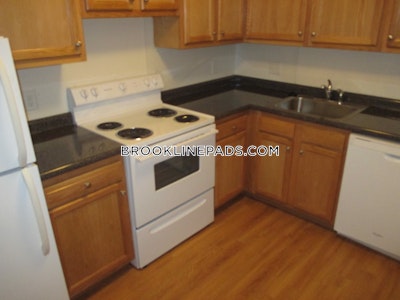 Brookline Apartment for rent 2 Bedrooms 1 Bath  Boston University - $3,395 No Fee