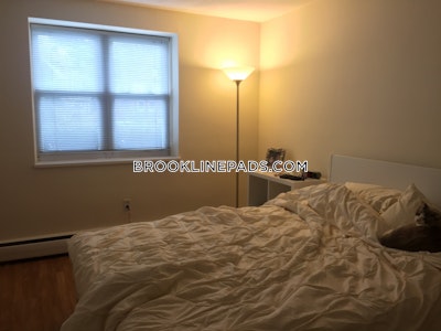 Brookline Apartment for rent 1 Bedroom 1 Bath  Boston University - $2,850