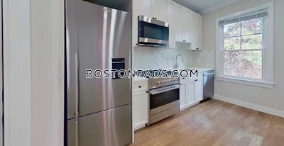 Brighton 1 Bed 1 Bath BOSTON Boston - $3,000 No Fee