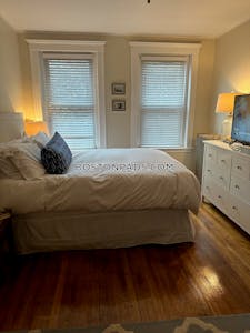 Allston Superb 1 Bed 1 Bath on Brainerd Rd Boston - $2,410