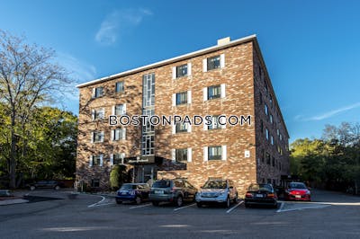Cambridge 2 Bed 1 Bath CAMBRIDGE Mt. Auburn/brattle/ Fresh Pond - $2,600 No Fee