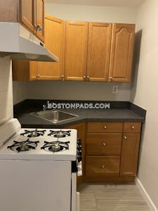 Northeastern/symphony Studio 1 Bath Boston - $2,350
