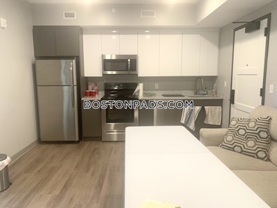 Northeastern/symphony 2 Bed 1 Bath BOSTON Boston - $4,988
