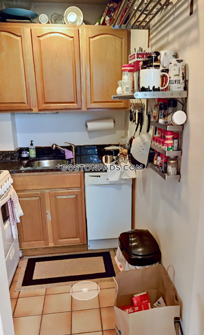 South End 1 Bed 1 Bath Boston - $2,875 No Fee