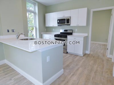 Roxbury 3 Beds 2 Baths Boston - $3,650