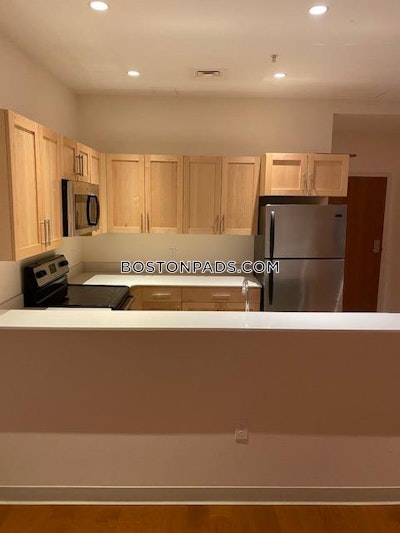 Downtown 2 Bed 1 Bath BOSTON Boston - $4,000 No Fee