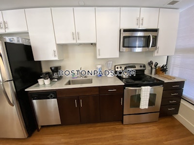 Downtown 1 Bed 1 Bath BOSTON Boston - $3,200