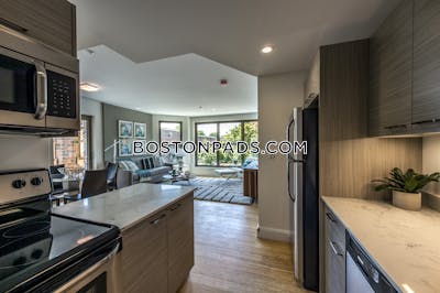 Allston 2 Beds 2 Baths Boston - $4,300 No Fee