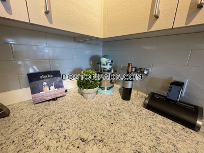 Chinatown 1 Bed 1 Bath BOSTON Boston - $3,441