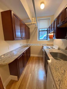 Northeastern/symphony 1 Bed 1 Bath Boston - $2,900 No Fee