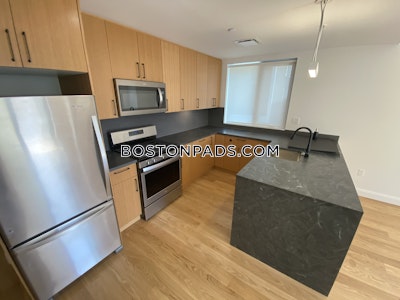 Allston 2 Beds 2 Baths Boston - $4,200 No Fee