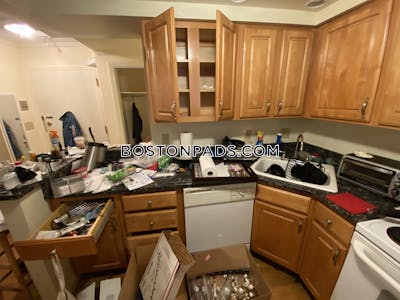 Newton Studio 1 Bath  Chestnut Hill - $2,600