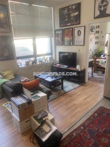 Downtown 1 Bed 1 Bath Boston - $2,600 No Fee