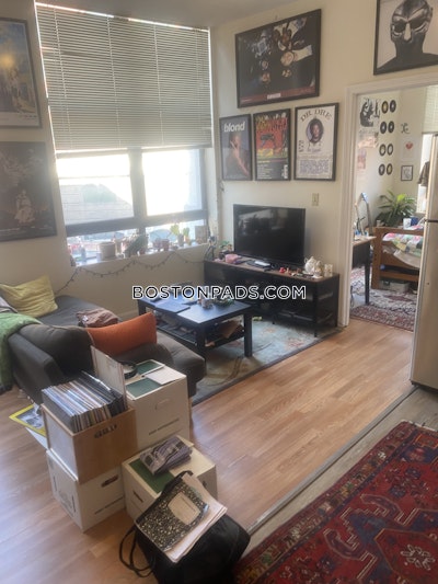 Downtown 1 Bed 1 Bath Boston - $2,600 No Fee