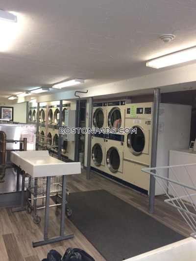 Mission Hill 2 Bed 1 Bath BOSTON Boston - $3,495 No Fee