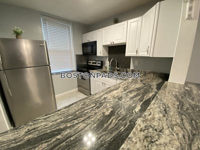 Allston/brighton Border 3 Beds 2 Baths Boston - $3,900