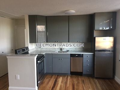 Belmont 1 Bed 1 Bath - $2,100 No Fee