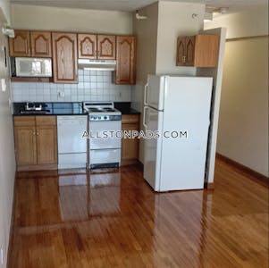 Allston Apartment for rent Studio 1 Bath Boston - $2,100 No Fee