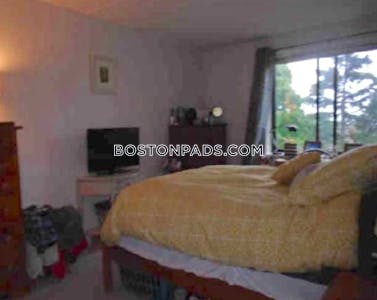 Brighton 1 Bed 1 Bath BOSTON Boston - $2,500 No Fee