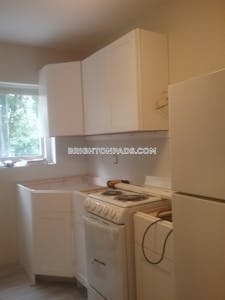 Brighton 2 Beds 1 Bath Boston - $2,900