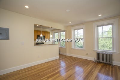Brighton Apartment for rent 1 Bedroom 1 Bath Boston - $3,300