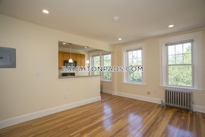 Brighton Apartment for rent 1 Bedroom 1 Bath Boston - $3,300