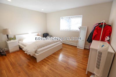 Brighton Apartment for rent 1 Bedroom 1 Bath Boston - $2,600