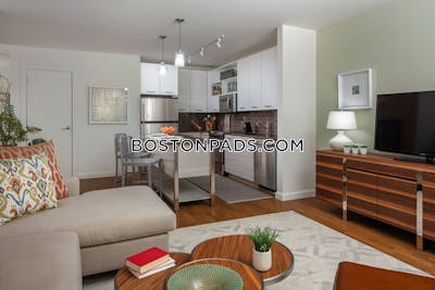 Downtown Apartment for rent 1 Bedroom 1 Bath Boston - $3,450