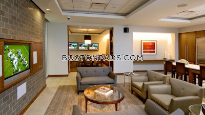 Downtown Apartment for rent 1 Bedroom 1 Bath Boston - $4,240
