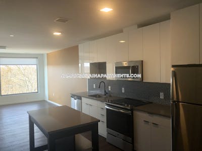 Jamaica Plain Apartment for rent 2 Bedrooms 2 Baths Boston - $4,690 No Fee