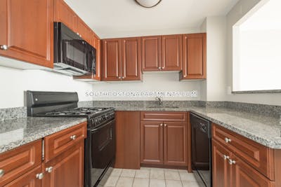 South Boston Apartment for rent 1 Bedroom 1 Bath Boston - $3,100 No Fee