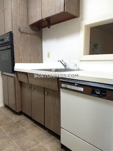 Brighton Apartment for rent 1 Bedroom 1 Bath Boston - $2,400 No Fee