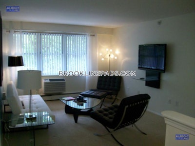 Brookline Apartment for rent 1 Bedroom 1 Bath  Boston University - $3,100 No Fee