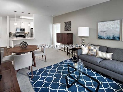 Newton Apartment for rent 2 Bedrooms 2 Baths  Chestnut Hill - $5,110