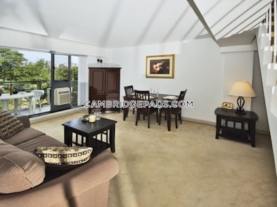 Cambridge Apartment for rent 1 Bedroom 1 Bath  Kendall Square - $2,945
