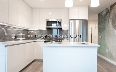 West End Apartment for rent 2 Bedrooms 2 Baths Boston - $11,484