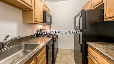 Cambridge Apartment for rent Studio 1 Bath  Porter Square - $2,532 No Fee