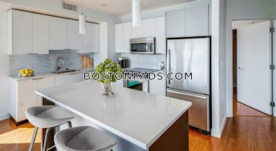Downtown Studio  Luxury in BOSTON Boston - $3,307