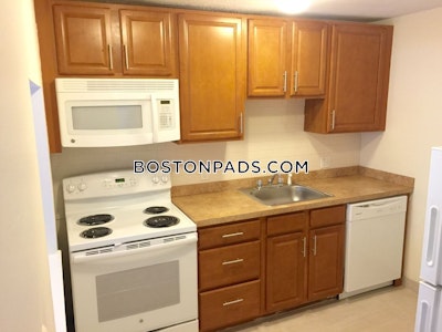 Allston Apartment for rent 1 Bedroom 1 Bath Boston - $3,000