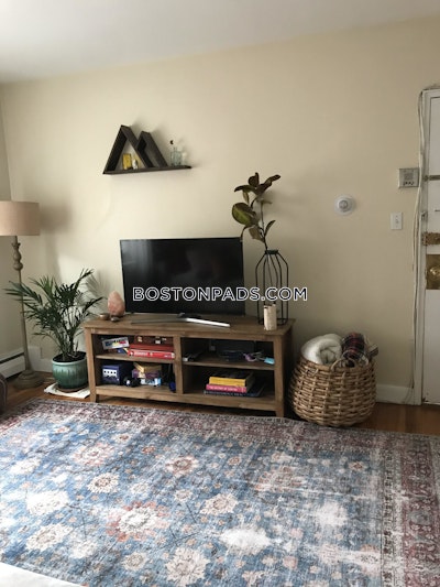 Brighton Apartment for rent 2 Bedrooms 1 Bath Boston - $2,940