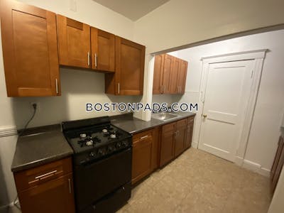 Brighton Apartment for rent 1 Bedroom 1 Bath Boston - $2,385 No Fee