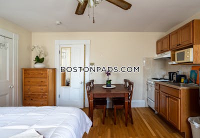 Cambridge Apartment for rent Studio 1 Bath  Central Square/cambridgeport - $2,100