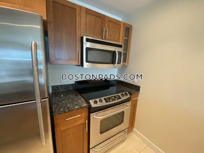 West End Apartment for rent 1 Bedroom 1 Bath Boston - $3,470