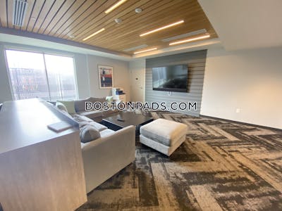 Allston Apartment for rent Studio 1 Bath Boston - $2,895