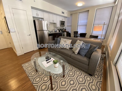 Downtown Apartment for rent 1 Bedroom 1 Bath Boston - $3,200