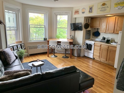 Brookline Apartment for rent 1 Bedroom 1 Bath  Washington Square - $2,650 No Fee