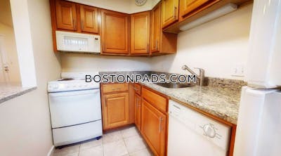 Brookline Apartment for rent 2 Bedrooms 1 Bath  Boston University - $3,700 No Fee