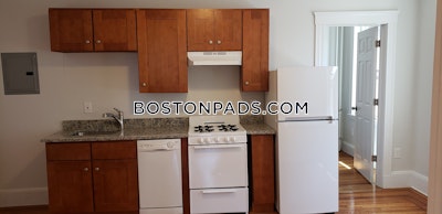 Brighton Apartment for rent 1 Bedroom 1 Bath Boston - $3,000